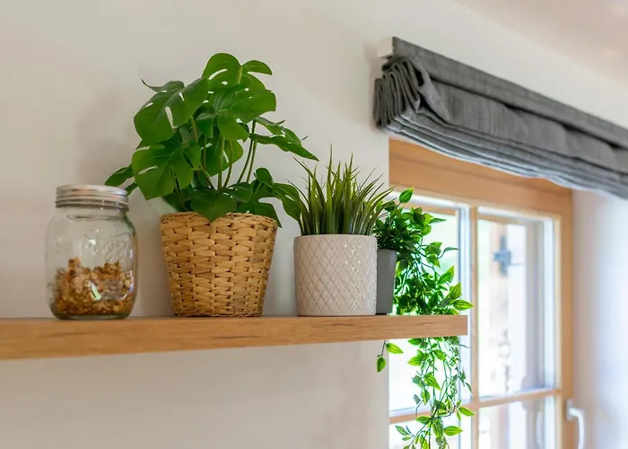 Erna Donnersbachwald